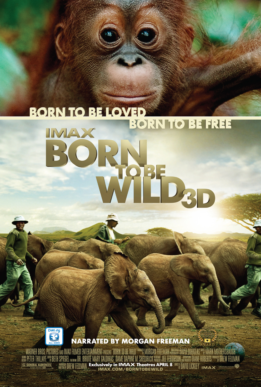 BORN TO BE WILD