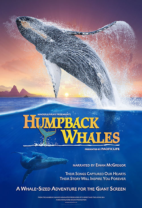 HUMPBACK WHALES 3D